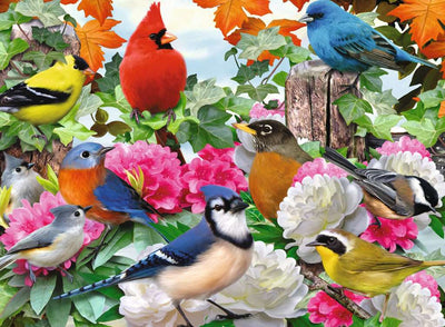 Garden Birds – 500 Piece Jigsaw Puzzle (Ravensburger)