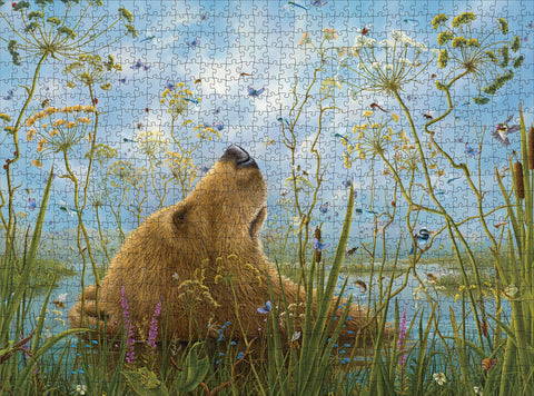 Made up: The Whole World by Robert Bissell – 1000 Piece Jigsaw Puzzle (Pomegranate)