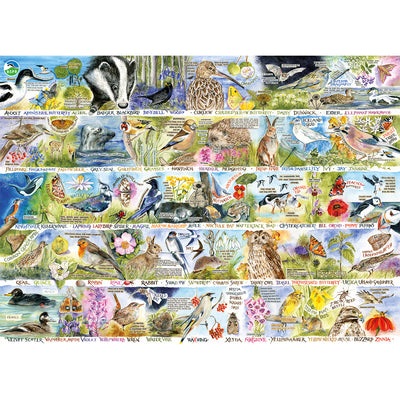 Birdsong & Bluebells – 1000 Piece Jigsaw Puzzle (Gibsons)