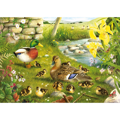 Ducks To Water – 500 Piece Jigsaw Puzzle (HOP)