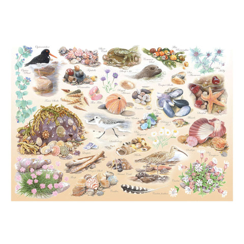 Artwork: Sea Shore by Tracy Hall - Big 500 Piece Jigsaw Puzzle (House of Puzzles)