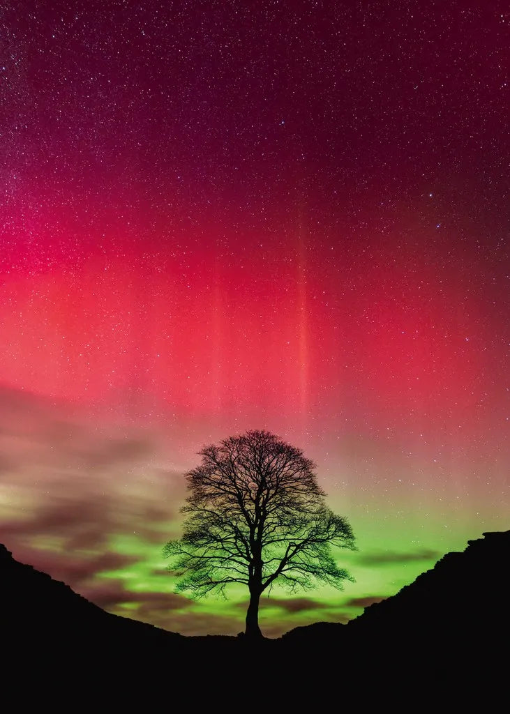 Sycamore Gap: Power of Nature - 1000 Piece Jigsaw Puzzle (Heye)