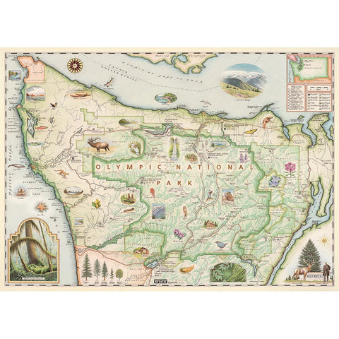 Master Pieces 71766 Olympic Map
