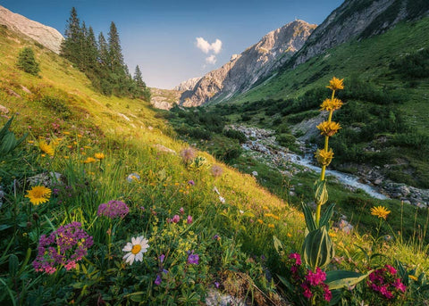 Magical Valley – 1000 Piece Jigsaw Puzzle (Ravensburger)