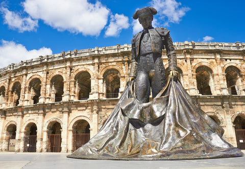 Arènes de Nîmes – 1000 Piece Jigsaw Puzzle (Bluebird Puzzle)