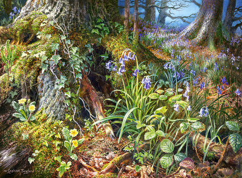 From Rusland Woods – 2000 Piece Jigsaw Puzzle (Castorland)
