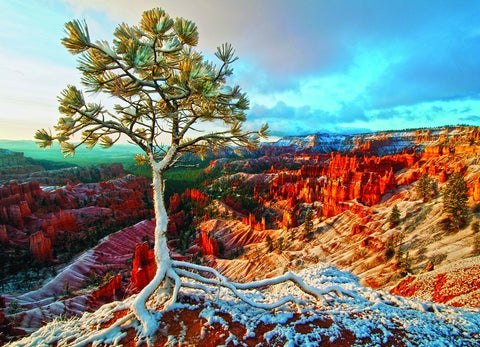 Winter Sunrise – 1000 Piece Jigsaw Puzzle (Eurographics)