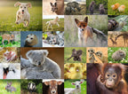 Baby Animals XXL – 200 Piece Jigsaw Puzzle (Ravensburger)