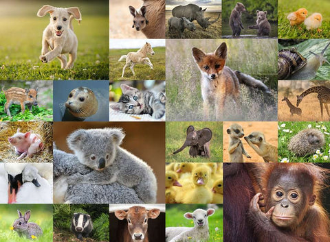 Baby Animals XXL – 200 Piece Jigsaw Puzzle (Ravensburger)