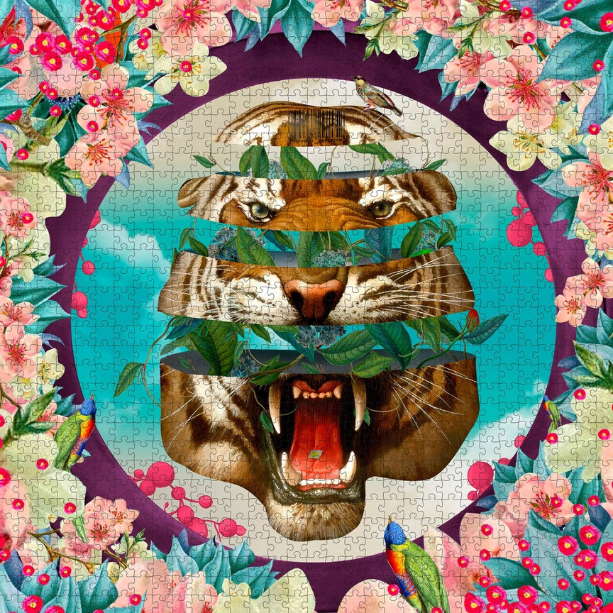 Vision Quest by David Krovblit – 1000 Piece Jigsaw Puzzle (Pomegranate)