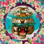 Vision Quest by David Krovblit – 1000 Piece Jigsaw Puzzle (Pomegranate)