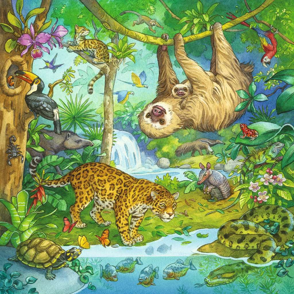 Ravensburger Jungle Animals 3x49 Piece Jigsaw Puzzle (Ravensburger)