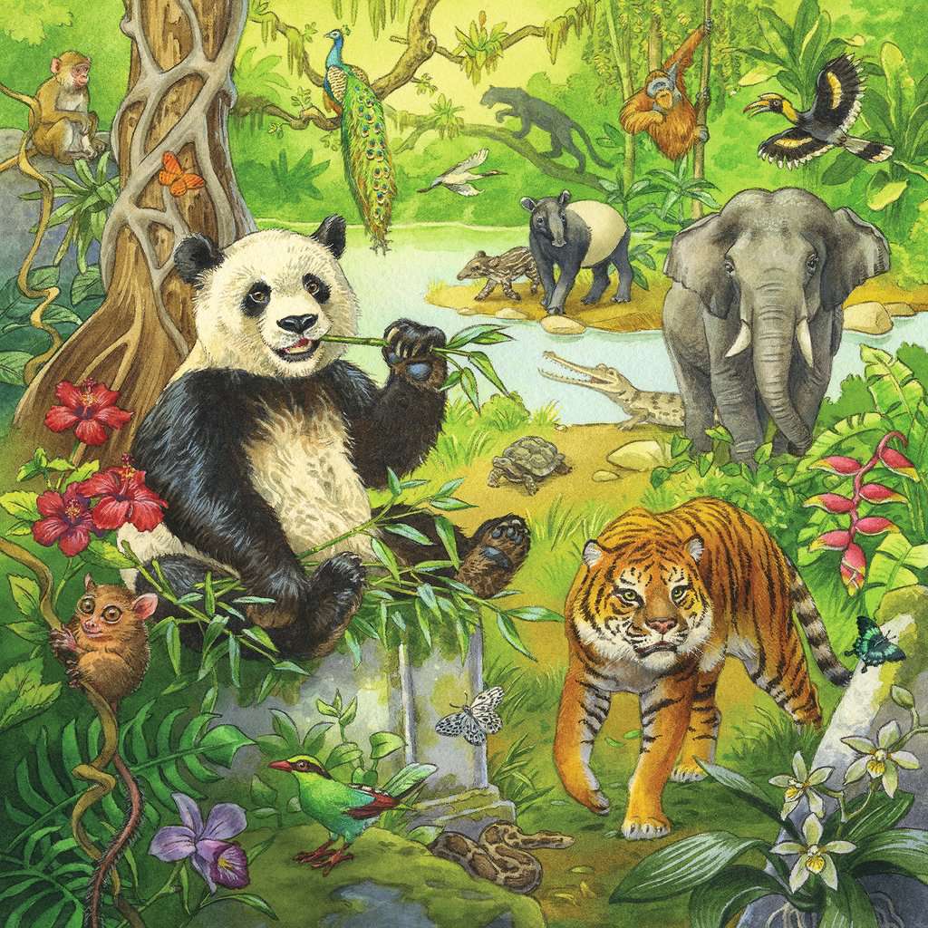 Ravensburger Jungle Animals 3x49 Piece Jigsaw Puzzle (Ravensburger)