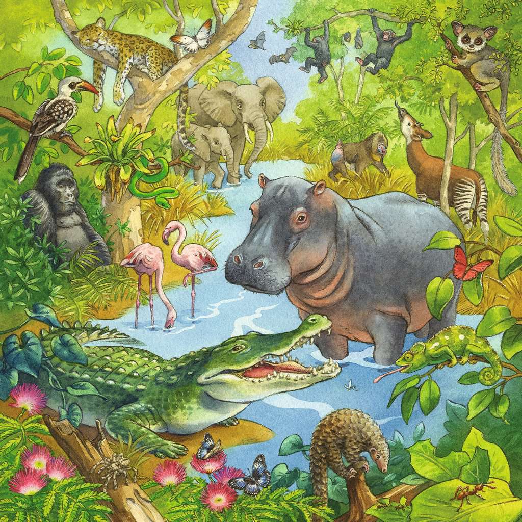Ravensburger Jungle Animals 3x49 Piece Jigsaw Puzzle (Ravensburger)
