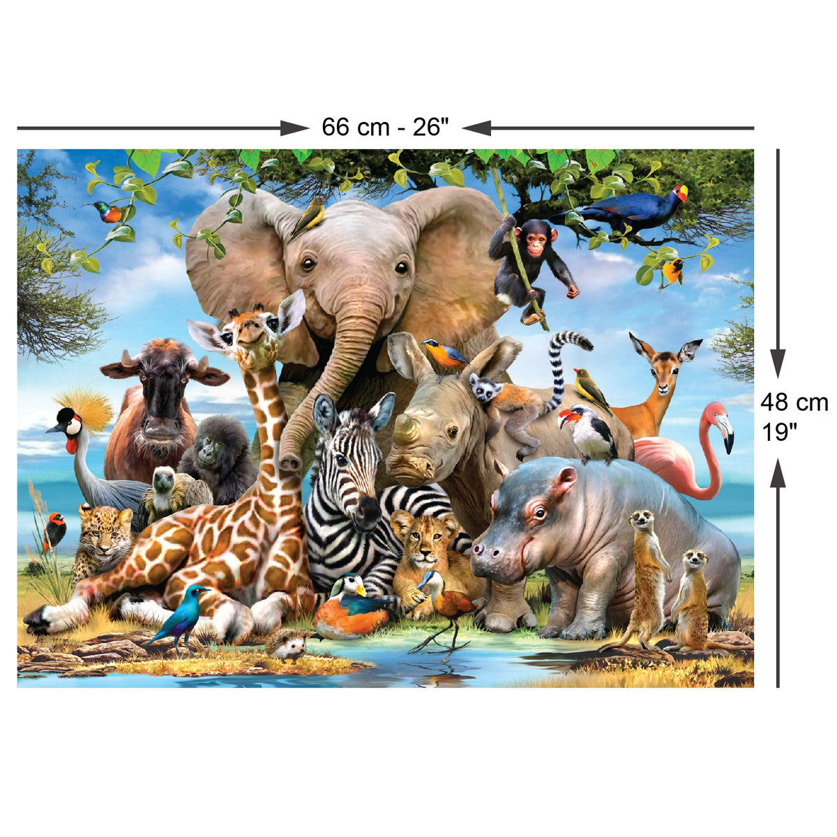 Size guide: Africa Smile – 1000 Piece Jigsaw Puzzle (Anatolian)
