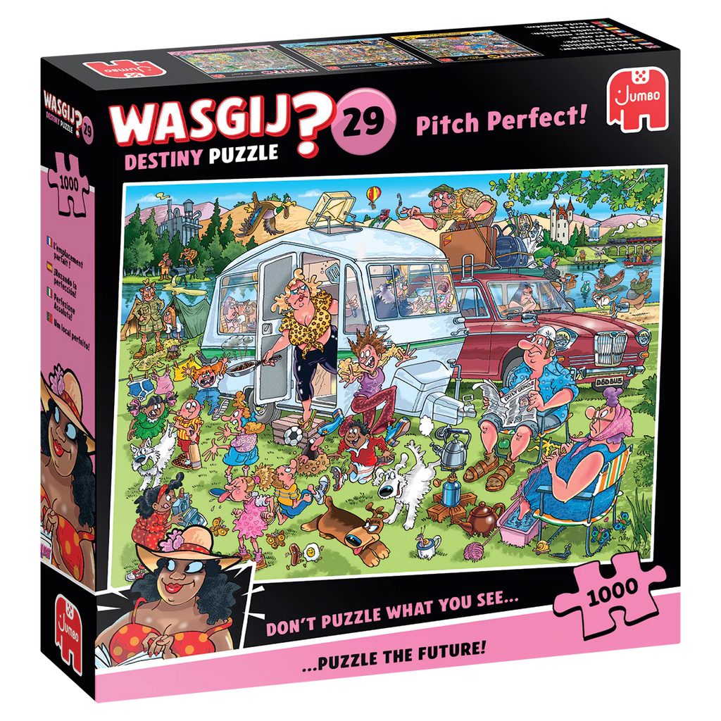 Wasgij Destiny 29: Pitch Perfect! – 1000 Piece Jigsaw Puzzle (Wasgij)