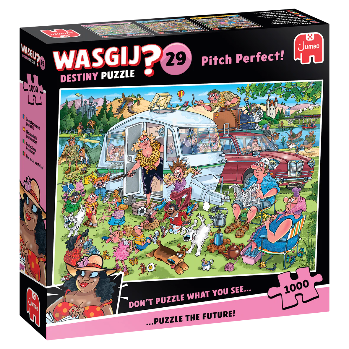 Wasgij Destiny 29: Pitch Perfect! – 1000 Piece Jigsaw Puzzle (Wasgij)