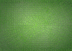 Artwork: Krypt Neon Green – 736 Piece Jigsaw Puzzle (Ravensburger)
