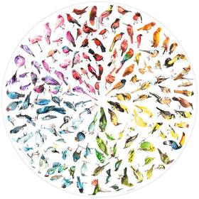 Bird Colour Wheel - 500 Piece Jigsaw Puzzle (Ravensburger)
