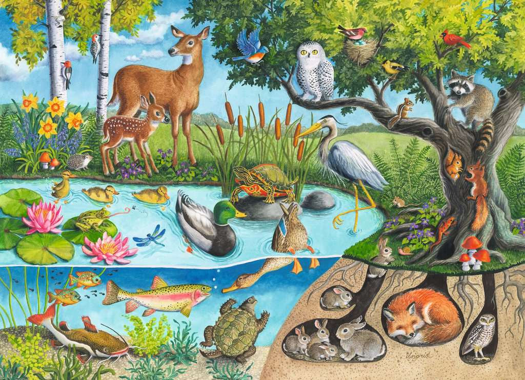 Animals Above & Below – 60 Piece Jigsaw Puzzle (Ravensburger)