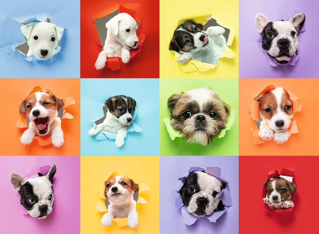 Puppy Pop Out XXL – 300 Piece Jigsaw Puzzle (Ravensburger)