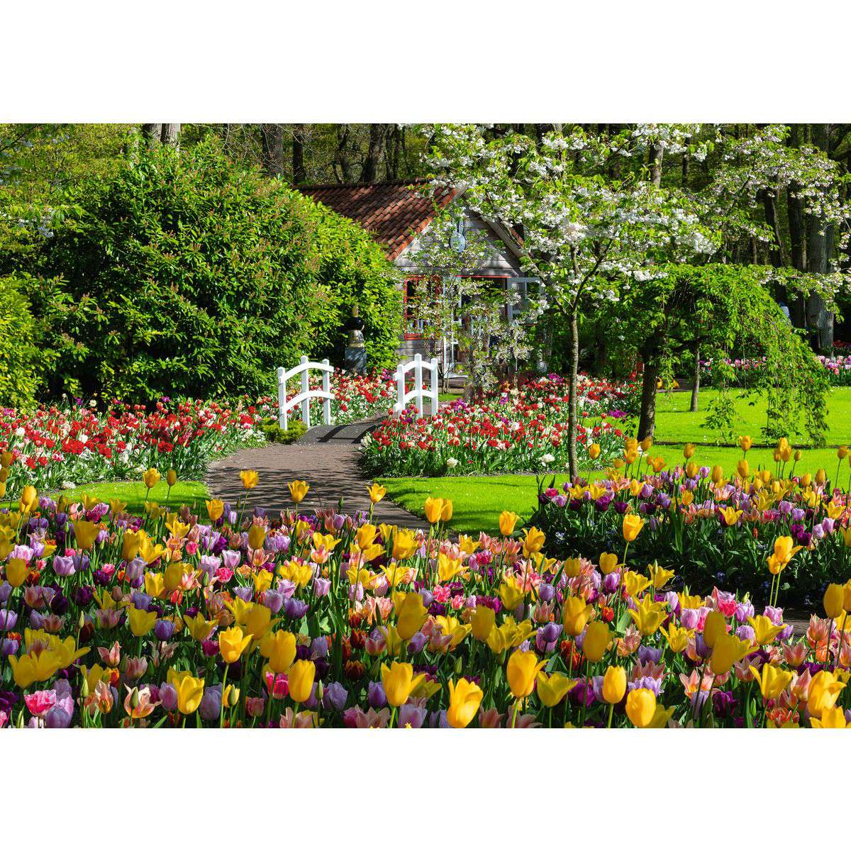Artwork: Beautiful Gardens – Netherlands – 1000 Piece Jigsaw Puzzle (Ravensburger)