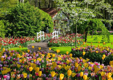Beautiful Gardens – Netherlands – 1000 Piece Jigsaw Puzzle (Ravensburger)