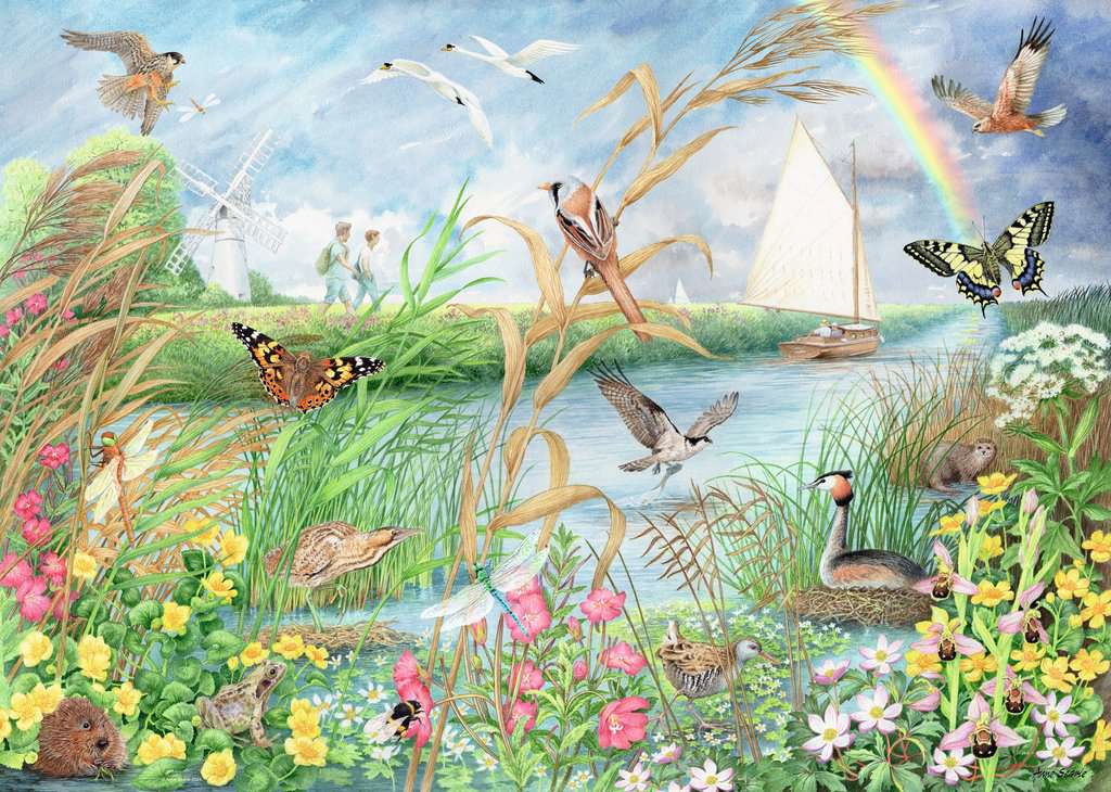 Ravensburger - Norfolk Broads - 1000 Piece Jigsaw Puzzle