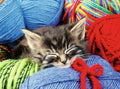 Wool Cat – 100 XL Piece Jigsaw Puzzle (Ravensburger)