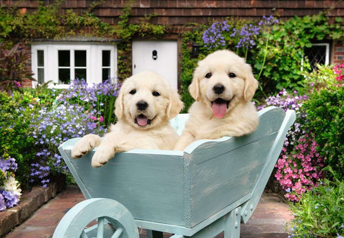 Golden Retriever – 200 XL Piece Jigsaw Puzzle (Ravensburger)