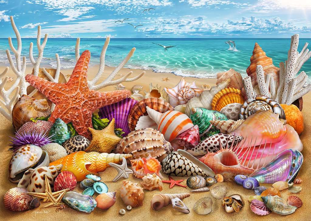 Artwork: Beach Treasures – 1000 Piece Jigsaw Puzzle (Ravensburger)