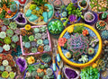 Artwork: Cactus Collection – 500 Piece Jigsaw Puzzle (Ravensburger)