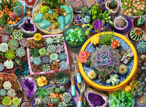Artwork: Cactus Collection – 500 Piece Jigsaw Puzzle (Ravensburger)