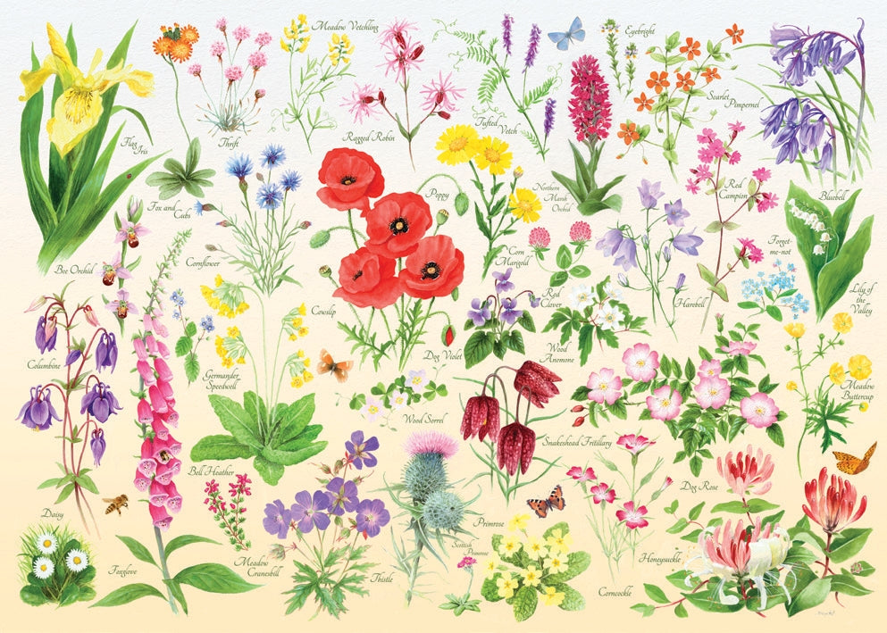 Artwork: Wildflowers – 1000 Piece Jigsaw Puzzle (House of Puzzles)