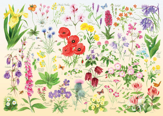 ** Pre-Order ** HOP - Wildflowers - 1000 Piece