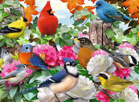 Garden Birds – 500 Piece Jigsaw Puzzle (Ravensburger)