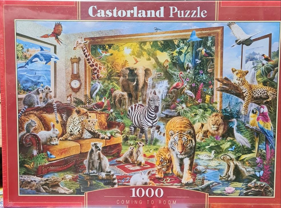Coming to Room – 1000 Piece Jigsaw Puzzle (Castorland)