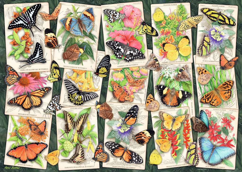 Tropical Butterflies – 1000 Piece Jigsaw Puzzle (Ravensburger)