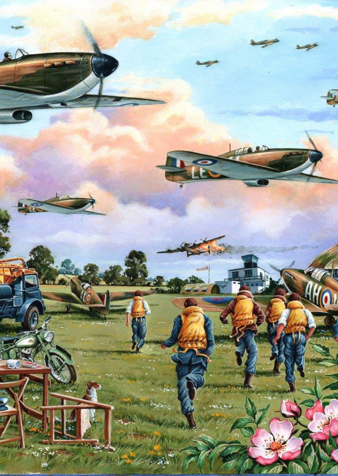 Sky Patrol – 2 x BIG 500 Piece Jigsaw Puzzle (HOP)