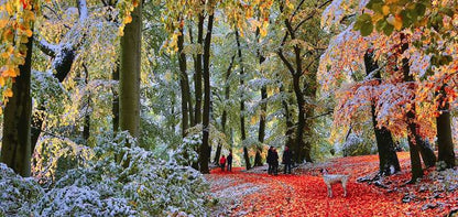 Gibsons - Snow in Autumn - 636 Piece Jigsaw Puzzle