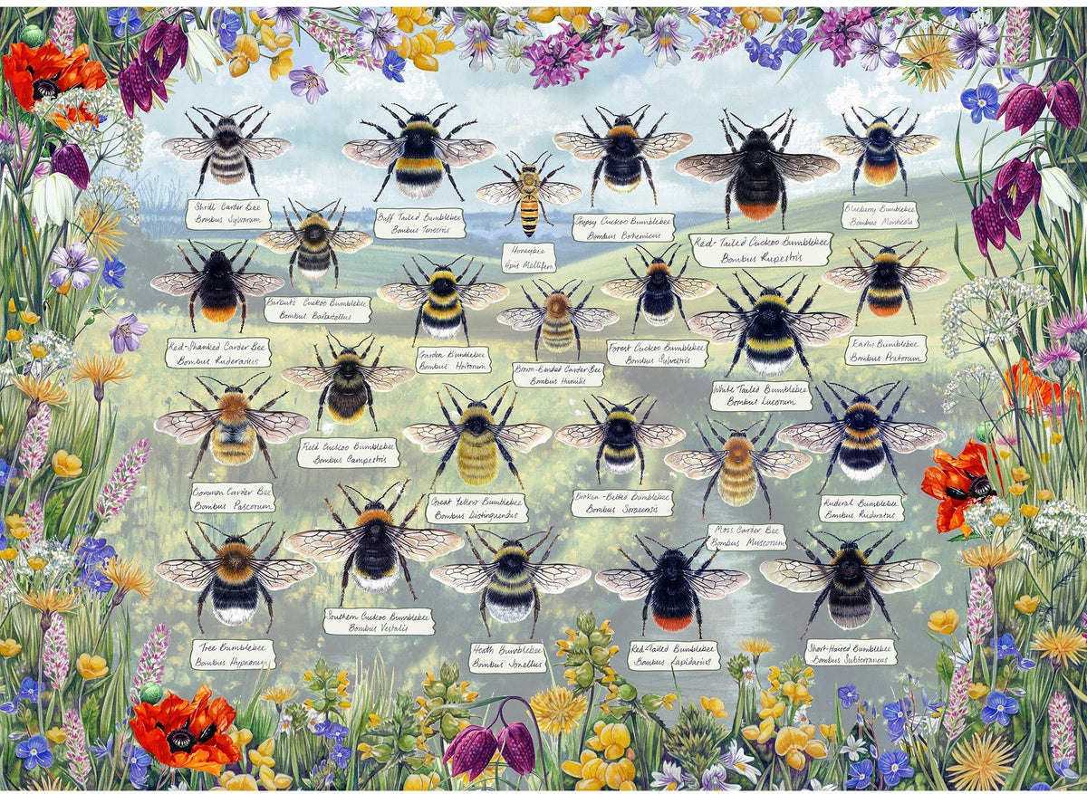 Artwork: Brilliant Bees – 1000 Piece Jigsaw Puzzle (Gibsons)