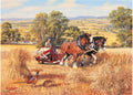 Artwork: Harvest Time – 1000 Piece Jigsaw Puzzle (House of Puzzles)