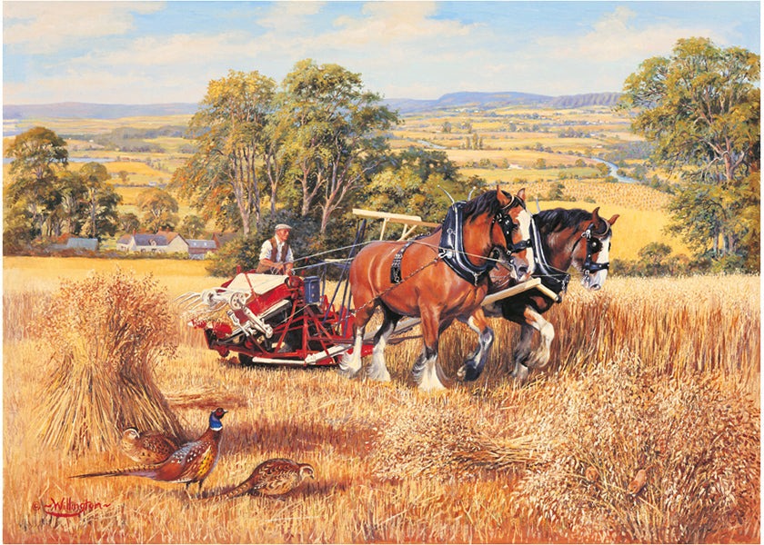 Artwork: Harvest Time – 1000 Piece Jigsaw Puzzle (House of Puzzles)