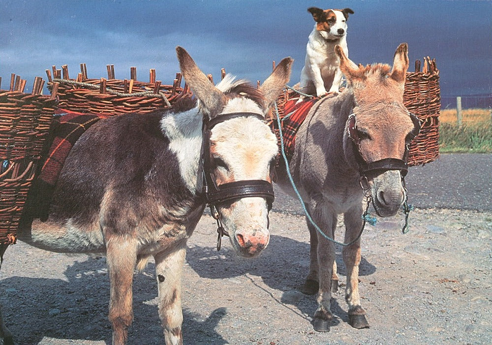 Artwork: Road to Connemara – 500 Piece Jigsaw Puzzle (House of Puzzles)