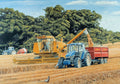 Artwork: Teamwork – 1000 Piece Jigsaw Puzzle (House of Puzzles)