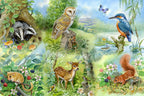 Artwork: Nature Study – 250 Piece Jigsaw Puzzle (House of Puzzles)