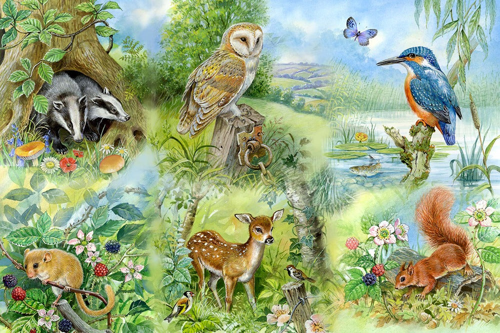Artwork: Nature Study – 250 Piece Jigsaw Puzzle (House of Puzzles)