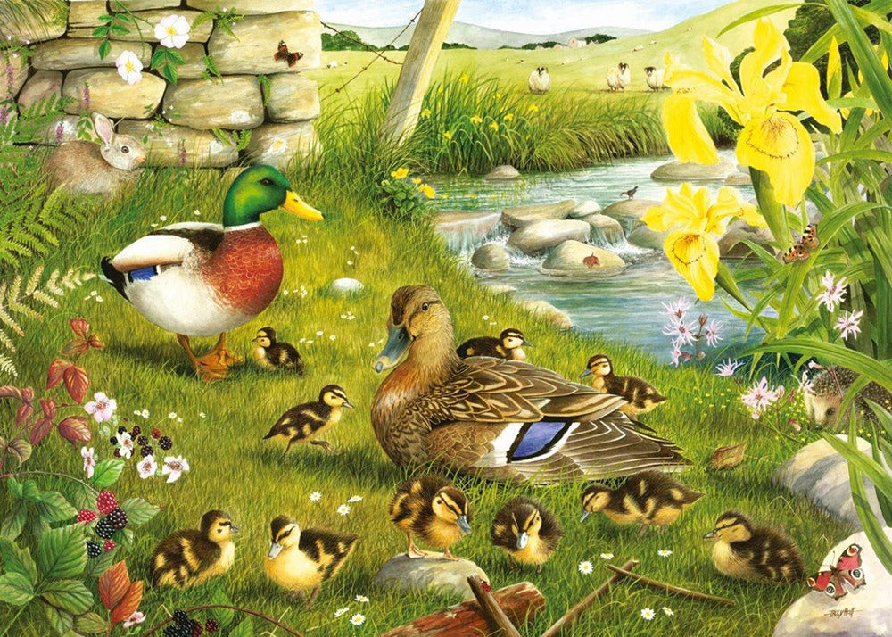Artwork: Ducks To Water – Big 500 Piece Jigsaw Puzzle (House of Puzzles)