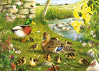Artwork: Ducks To Water – Big 500 Piece Jigsaw Puzzle (House of Puzzles)