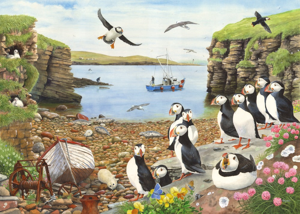 Artwork: Puffin Parade – 500 Piece Jigsaw Puzzle (House of Puzzles)